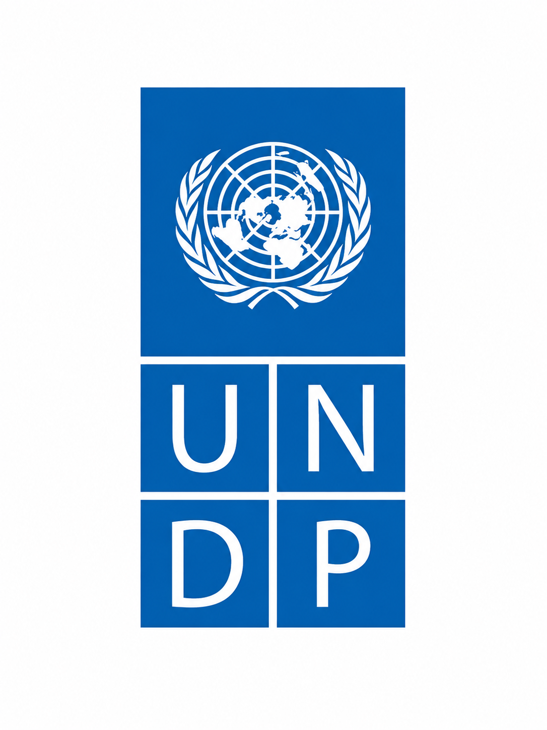 United Nations Development Programme (UNDP)